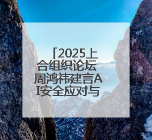 2025上合组织论坛 周鸿祎建言AI安全应对与柔性监管