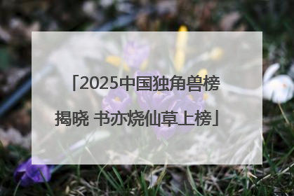 2025中国独角兽榜揭晓 书亦烧仙草上榜