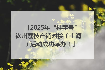2025年“桂字号”钦州荔枝产销对接（上海）活动成功举办！