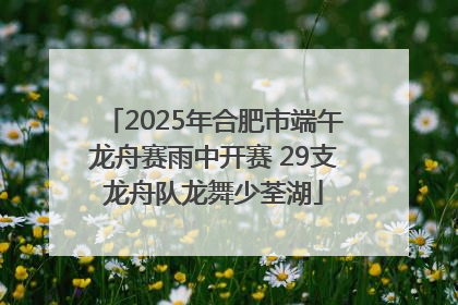 2025年合肥市端午龙舟赛雨中开赛 29支龙舟队龙舞少荃湖