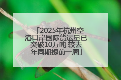 2025年杭州空港口岸国际货运量已突破10万吨 较去年同期提前一周