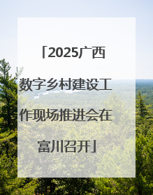 2025广西数字乡村建设工作现场推进会在富川召开