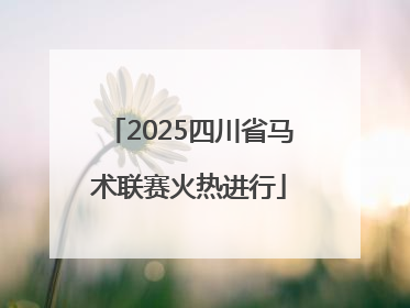 2025四川省马术联赛火热进行