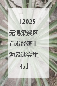 2025无锡梁溪区首发经济上海恳谈会举行