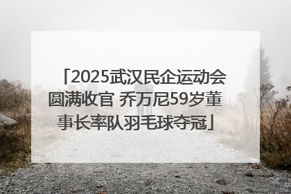 2025武汉民企运动会圆满收官 乔万尼59岁董事长率队羽毛球夺冠