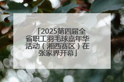 2025第四届全省职工羽毛球嘉年华活动（湘西赛区）在张家界开幕