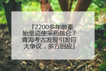 2200多年前秦始皇遣使采药昆仑？青海考古发现引发巨大争议，多方回应