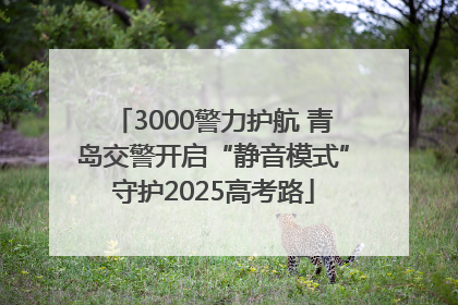 3000警力护航 青岛交警开启“静音模式”守护2025高考路