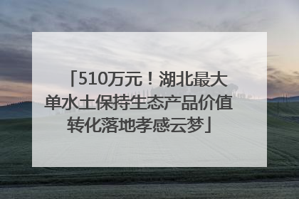 510万元！湖北最大单水土保持生态产品价值转化落地孝感云梦