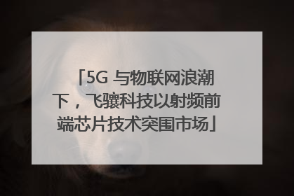 5G 与物联网浪潮下，飞骧科技以射频前端芯片技术突围市场