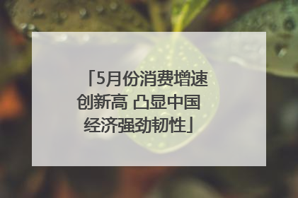 5月份消费增速创新高 凸显中国经济强劲韧性