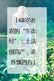 68岁老农的“生态经”：土法创高产，麦香飘四方