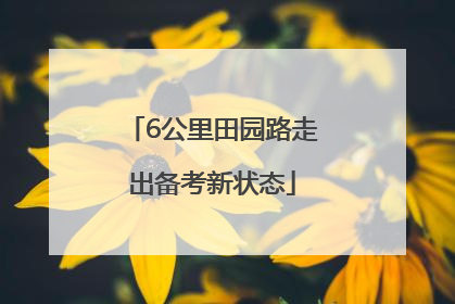 6公里田园路走出备考新状态