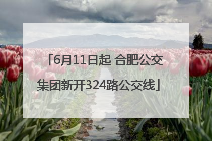 6月11日起 合肥公交集团新开324路公交线