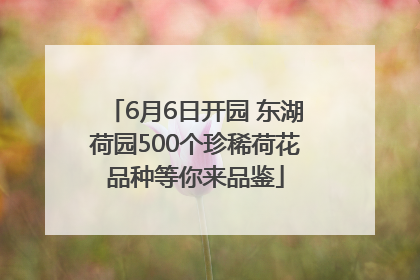 6月6日开园 东湖荷园500个珍稀荷花品种等你来品鉴