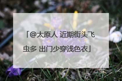@太原人 近期街头飞虫多 出门少穿浅色衣