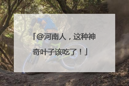 @河南人，这种神奇叶子该吃了！