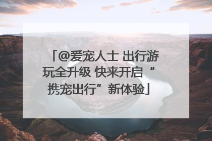 @爱宠人士 出行游玩全升级 快来开启“携宠出行”新体验
