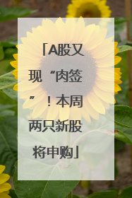 A股又现“肉签”！本周两只新股将申购
