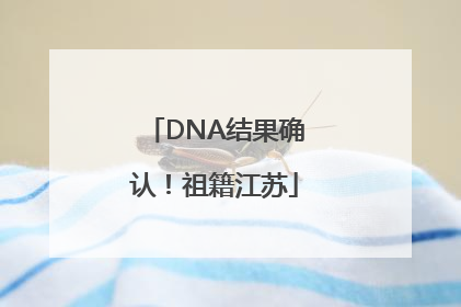 DNA结果确认！祖籍江苏