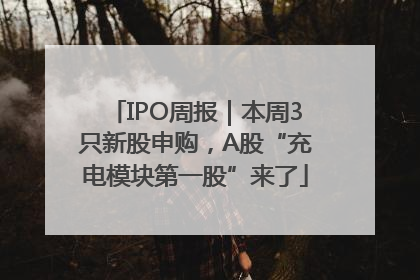 IPO周报｜本周3只新股申购，A股“充电模块第一股”来了