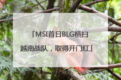 MSI首日BLG横扫越南战队，取得开门红