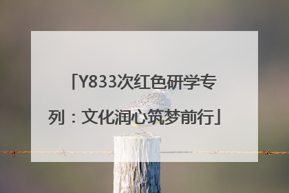 Y833次红色研学专列：文化润心筑梦前行