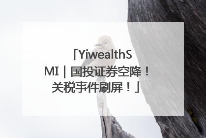 YiwealthSMI|国投证券空降!关税事件刷屏!
